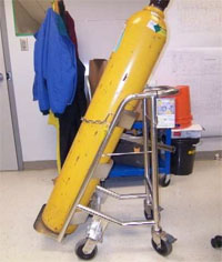 stainless-steel-trolley-cart-dolly-store-transport-gas-cylinders-bottles-medical-semiconductor-cleanroom-harsh-enviroment